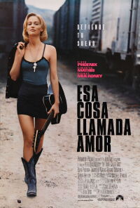 Una cosa llamada amor (1993)