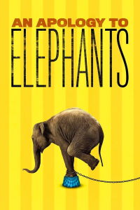 Una Disculpa A Los Elefantes (2013)