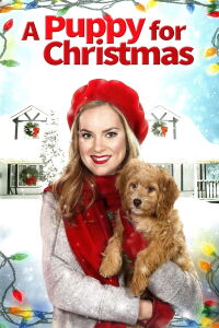 Une demande en mariage pour Noël (2016)