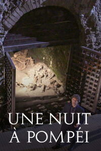 Une nuit à Pompéi (2018)