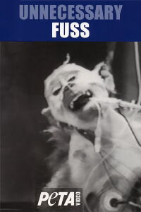 Unnecessary Fuss (1984)