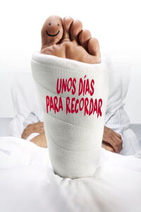 Unos días para recordar (2014)