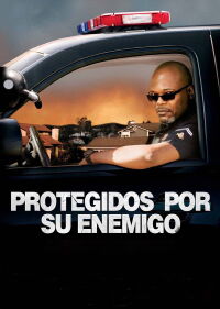 Vecinos en la mira (2008)