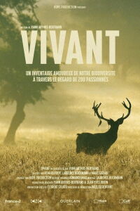 Vibrant (2023)