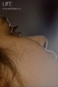 Vie (1994)