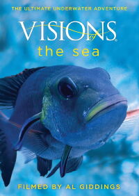 Visions of the Sea (2009)