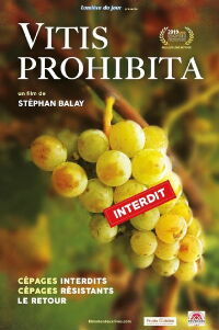 Vitis Prohibita (2019)