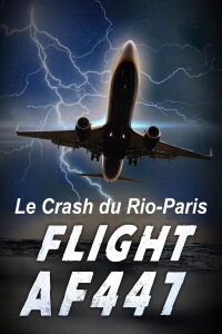 Vol AF 447, Le crash du Rio-Paris (2015)