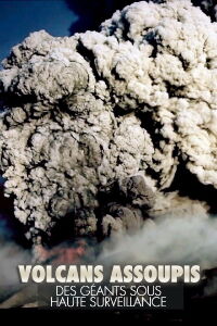 Volcans assoupis - Des géants sous haute surveillance (2015)