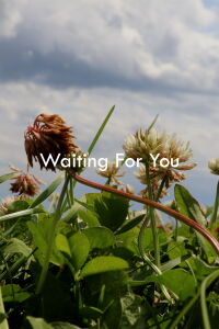 Waiting For You (2024)