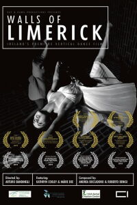 Walls of Limerick (2019)