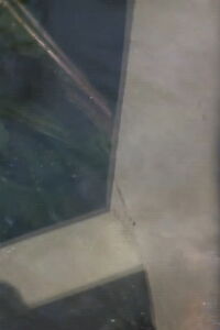 Water Tension (2014)