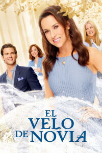 Wedding Veil Wishes: Avery's Story (2022)