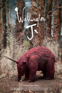 Wellington Jr. (2015)