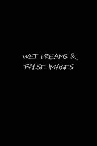 Wet Dreams and False Images (2004)