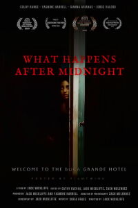 What Happens After Midnight (2024)