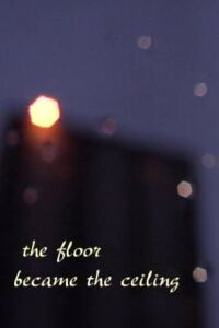 When The Floor Became The Ceiling (2001)