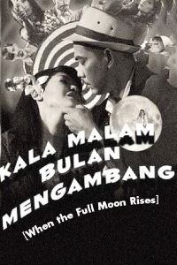 When The Full Moon Rises (2008)