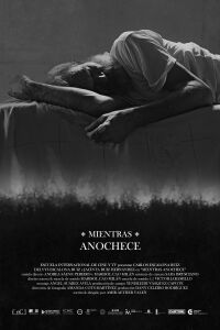 While The Night Falls (2023)