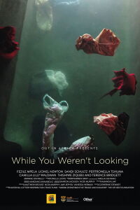 While You Weren't Looking (2015)