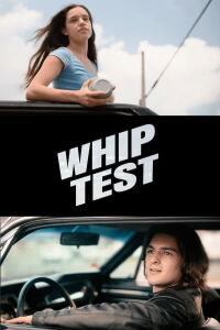 Whip Test (2024)