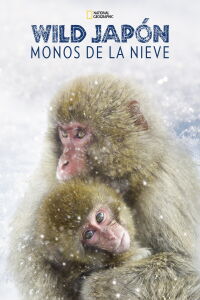 Wild Japón: monos de la nieve (2014)