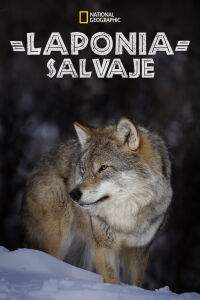 Wild Lapland (2020)