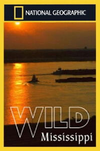 Wild Mississippi Compilation (2018)