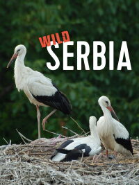 Wild Serbia (2011)