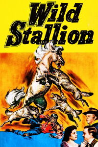 Wild Stallion (1952)