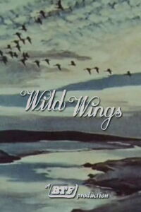 Wild Wings (1966)