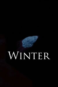 Winter (2020)
