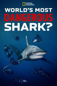 World's Most Dangerous Shark? (2021)