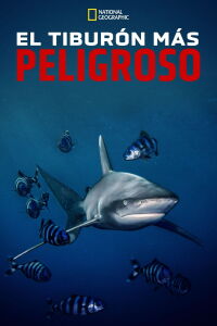 World's Most Dangerous Shark? (2021)