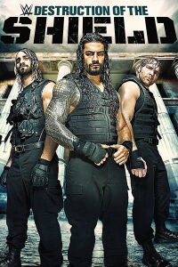 WWE: The Destruction Of The Shield (2015)