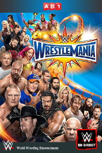 WWE Wrestlemania 33 (2017)