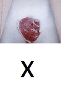 “X” (1973)