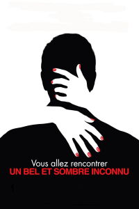You Will Meet a Tall Dark Stranger (2010)