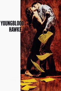 Youngblood Hawke (1964)