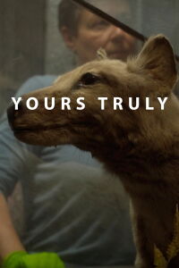 Yours Truly (2018)