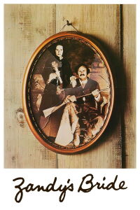 Zandy's Bride (1974)