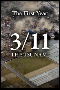 3/11-The Tsunami: The First Year (2021)