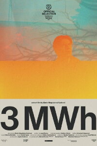 3 MWh (2024)