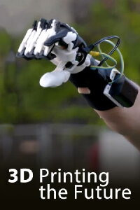 3D - Printing the future (2017)