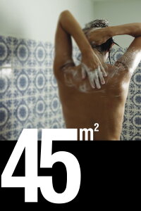 45m² (2011)