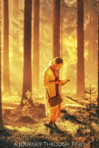 A Journey Through Pines (2017)