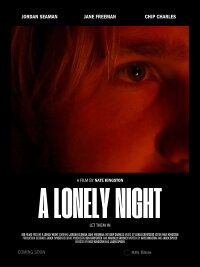 a lonely night (2024)