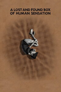 A Lost and Found Box of Human Sensation (2010)