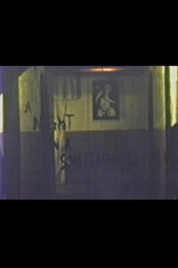 A Night in a Sanitarium (1973)