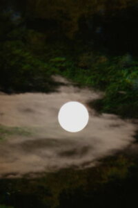 A Spell in Fairyland (2022)